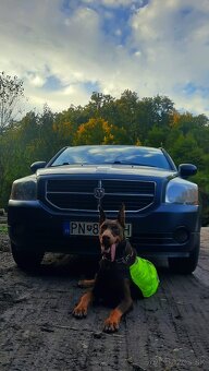 Dodge Caliber 2.0 crd 103kw - 10
