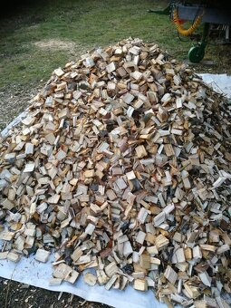 Spalikovac Bystron Baracuda - 10