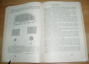 Výživa a kŕmenie včelstiev - 10