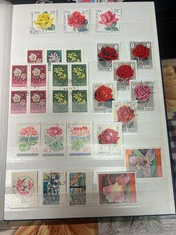 Námetová zbierka kvety - 10