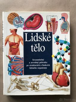 Slávna päťka, Jean Effel,  Alica v krajine zázrakov, Pik Pak - 10
