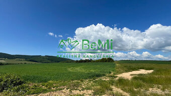 Rovinaté pozemky 7700m2 Sása, Zvolen - 10