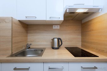 Štýlový apartmán s balkónom v Bešeňovej - 10