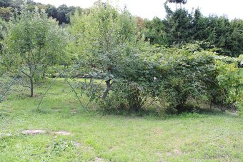 Na predaj záhradná chatka – Lučenec, 10. záhradkárska osada - 10