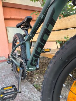 Giant stp 20 fs detsky - 10