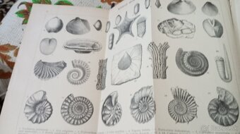 Kompletné prvé vydanie ottov náučný slovník - 10