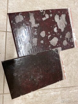 Artemie, discus mix, koretra, dafnie, mysis, hovězí srdce - 10