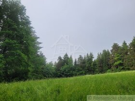 Rekreačný pozemok uprostred lesa pri Považskej Bystrici - 10