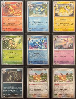 Pokemon TCG kusove karty - Ex-V-Pokeball-Promo - 10