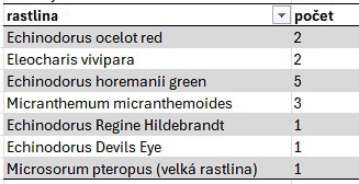 Predám osadenstvo v akváriu - 10