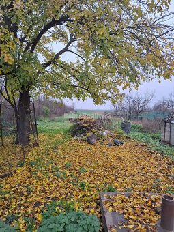 Dobre reality ponúkajú na predaj 4izb RD v Banove - 10