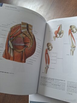 Sobotta Anatomický Atlas - 10