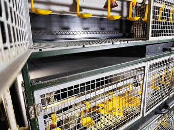 Špičkové odchovne pre hydinu – komplet vybavené - 10