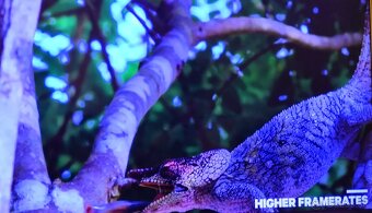 LG  Smart 75UM7600PLB - 10