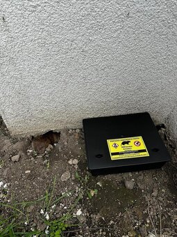 DERATIZÁCIA, DEZINFEKCIA, DEZINSEKCIA - 10