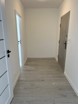 2 izb. byt, TUPOLEVOVA, po novej rekonštrukcii - 10