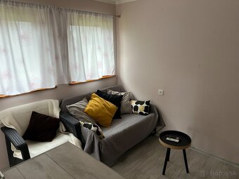 Záhrada so záhradnou chatou – Bratislava, Podunajské Biskupi - 10