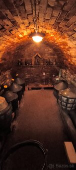 Predám celoročne obývateľnú murovanú vínnu chatu - 10
