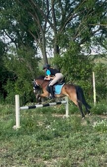 Sportovy pony - 10