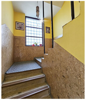 RODINNÝ DOM / BB / NOVÝ SVET / 936 m2 / aj na podnikanie - 10
