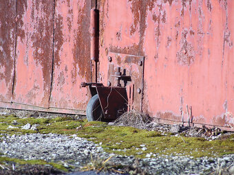 Beroflex 500mm / F8 / T2 / Macro - 10
