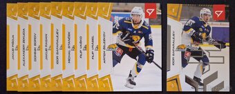 SHL 2024/25 - 10