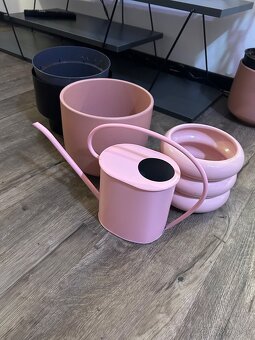 Zbierka izbových rastlín - 10