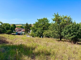 Pozemok pre váš vysnívaný dom – Kalinčiakovo, Levice - 10