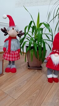 Živé rastliny - 10