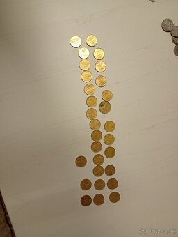 Mince slovenske - 10