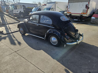 Volkswagen chrobak OVAL 1956 s TP - 10