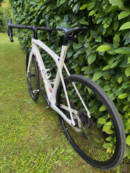 Trek Domane SL 6 (Carbon, Ultegra) - 10
