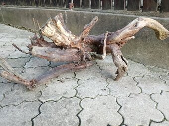 Predám koreň do akvária terária paludária, do skalky - 10