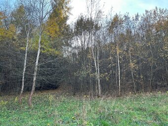 Predám pozemok 7802m2 - 10