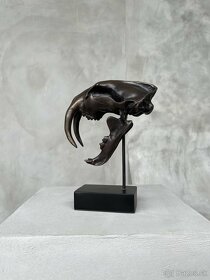 Bronzová lebka šabľozubého tigra, 20cm - 10