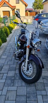 Suzuki VL800 intruder volusia boulevard k9 2011 - 10