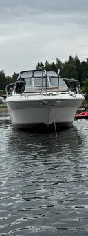 Obytna motorova jachta sea ray 290 sundancer - 10