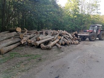 Zetor 12145 ukt lkt - 10