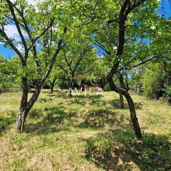 Na predaj rekreačný pozemok 2 920 m², Nové Mesto nad VáhomLo - 10