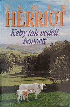 Ráno kúzelníkov,Tušenie tieňa,Tušenie súvislosti... - 10