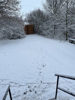 Na predaj pozemok o rozlohe 292000 m2 s poľovníckou chatou - 10