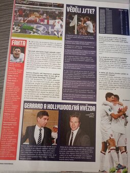 Steven Gerrard - 10