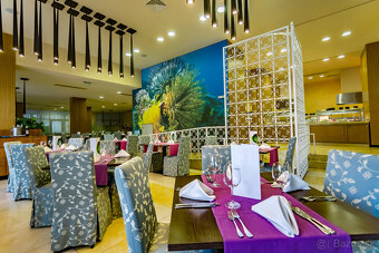 Apartmán Bulharku na slnečnom pobreži Royal Beach BARCELO - 10