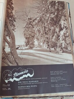 Nové Slovensko IV. ročník 1943 - 10