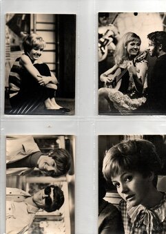 POHLADNICE NECKAR - VONDRACKOVA - 10