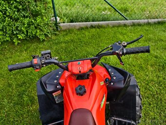 Štvorkolka ATV 125 - 10