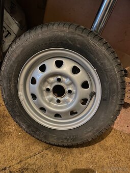 Felicia favorit diely - 10