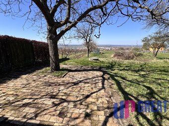 Pozemok s nádherným výhľadom na Skalicu–vinohrad so sklepom - 10