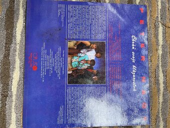 Predam LP vinylove - 10