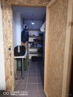 3-IZBOVÝ BYT - PRAŠICE (TOPOĽČANY) - 10